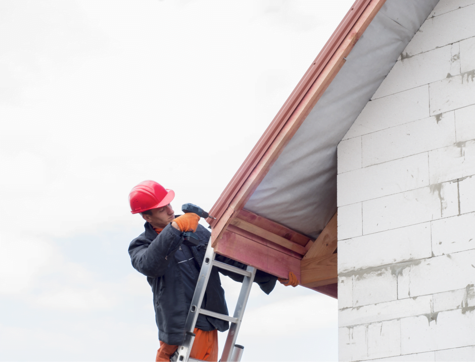 Roofing Expert