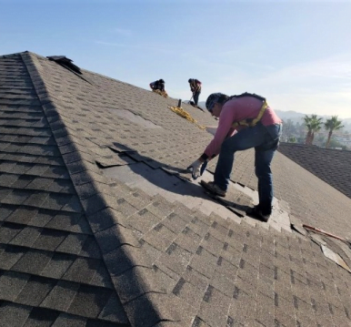 Roofing Specialist